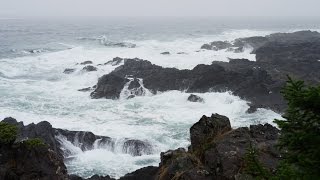 Sonido de Lluvia y Olas del Mar para Dormir y Relajarse  Meditación [upl. by Swane310]