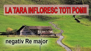 NEGATIV  La tara infloresc toti pomii  Re major [upl. by Nylyrehc]