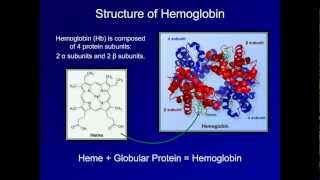 Dyshemoglobinemia Methemoglobin and Carbon Monoxide Poisoning ABG Interpretation  Lesson 19 [upl. by Ayikan]