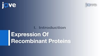 Expression Of Recombinant Proteins In Methylotrophic Yeast Pichia pastoris l Protocol Preview [upl. by Miriam]