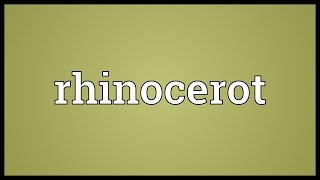 Rhinocerot Meaning [upl. by Acinot]