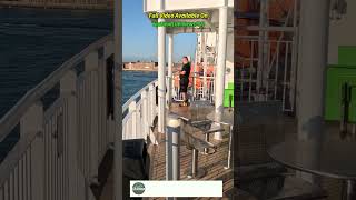 UK 🇬🇧  Isle of Wight Vlog Wightlink Ferry Ride shorts travel walkingtour [upl. by Samalla]