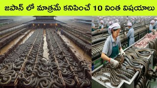 Top 10 Things That Only Exists In Japan  Japan facts in telugu  bmc facts  telugu facts [upl. by Viafore]