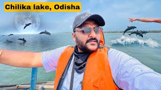 Chilika Lake tour Odisha Worth or Not   Asia’s Largest brackish water lagoon [upl. by Newmann]