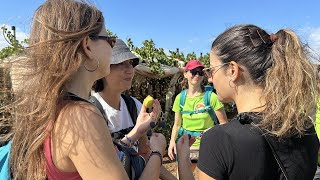 Road to Rome A pilgrimage on the Via Francigena [upl. by Giamo]