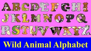 Wild Animals AZ for kids  Alphabetimals ABC  Alphabet Animal AZ  ABC animal flashcards [upl. by Myk]