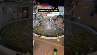 Where to Eat in Galleria Market  📍Galleria Market Gurgaon  MustVisit Place shorts [upl. by Ecnaralc]