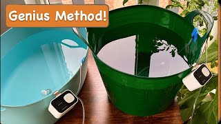 How to Water Plants While On Vacation Indoor Self Drip Irrigation System [upl. by Harty]