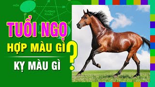 TUỔI NGỌ Hợp MÀU GÌ Kỵ Màu Nào Nhất Chọn Màu Sắc Đúng Phong Thủy Để Đón May Mắn [upl. by Denton544]