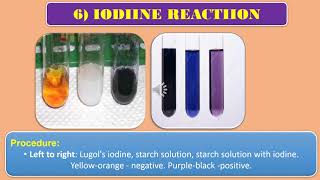 Iodine test [upl. by Landan548]