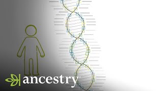 How Accurate are my AncestryDNA Results  Ancestry [upl. by Sundin730]