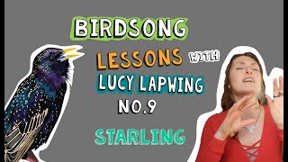 How to Identify Starling Song  Episode 9 of Birdsong Lessons with Lucy Lapwing [upl. by Alekal]