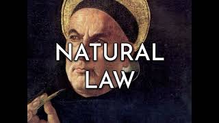 Thomas Aquinas  Natural Law [upl. by Brocky]