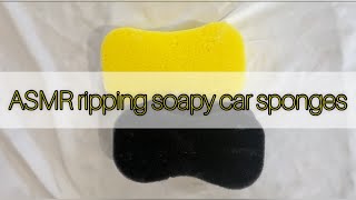 ASMR Soapy Sponge Week  crispy car and plastic sponges rip spongeripping rippingsponges [upl. by Hatnamas]