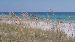 Henderson Beach State Park Campground [upl. by Hamirak244]