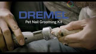 🐾Dremel Pet Grooming Kit How to setup and use [upl. by Clementis]