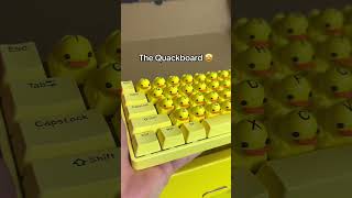 TM514KThe worlds FIRST quacking keyboard👀keyboard shorts [upl. by Tomasz]