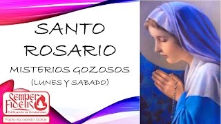 Misterios Gozosos Lunes y Sábado Santo Rosario Meditado [upl. by Acinna]