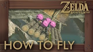 Zelda Breath of the Wild  How to Build An Airship and Fly to Ganon [upl. by Zetnwahs]