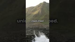 Explore the Wonders of Giants Causeway shorts funfacts northernireland stunning worldwonder [upl. by Droffig]