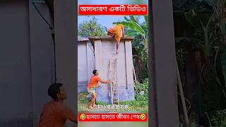 চরম হাসির ফানি ভিডিও 😅 funny shortvideo tending fypシ゚viral [upl. by Uda]