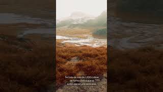 Monte Roraima La Montaña de Tepuyes en Sudamérica ⛰️ viralshort [upl. by Lawrence]