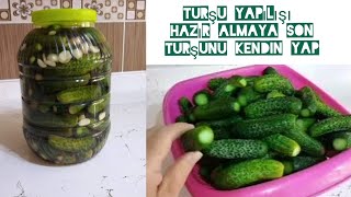 Soğuk suyla kornişon salatalık turşusu 5 litrelik bidona tam ölçü pickle [upl. by Doble]