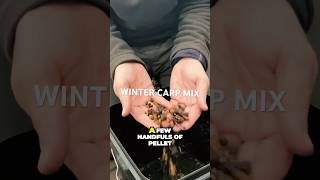 Carp fishing baits winter tactics carpfishing wintercarpfishing carpfishinguk [upl. by Mikiso207]