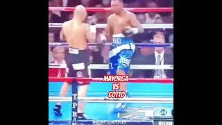 Miguel Cotto vs mayorga boxing highlights boxing [upl. by Martinson973]