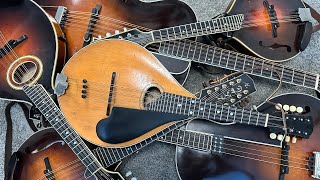 Explore the Mandolin Family Mandola Octave Mandolin Mandocello Tenor Guitar Bouzouki Etc [upl. by Tierney]