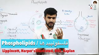 Phospholipids فاسفولپید ها Biochemistry 13 [upl. by Eiliah513]