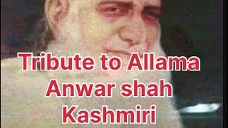 Tribute to Allama Anwar Shah Kashmiri [upl. by Yor238]