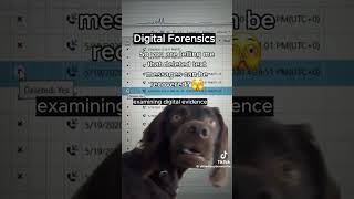 Digital Forensics [upl. by Netnilc]