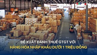 Đề xuất đánh thuế GTGT với hàng hóa nhập khẩu dưới 1 triệu đồng  VTVMoney [upl. by Nnav]