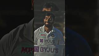 all out south africa shorts cricket [upl. by Assilam]