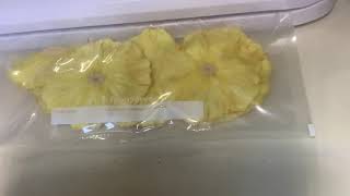 Vacuum packing our dehydrated pineapple [upl. by Ruth]