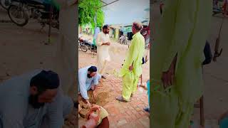 planting trees machine haria village video [upl. by Drofyar]