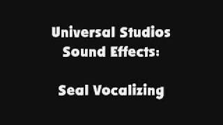 Universal Studios SFX Seal Vocalizing [upl. by Ylera]