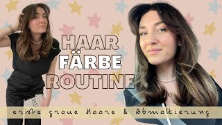 Haar Färbe Routine I Abmattierung amp 100  Grauhaarabdeckung [upl. by Bryanty354]