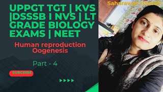 Oogenesis  Gametogenesis Human reproduction  Uppgttgtbiology  KVSpgt DSSSB NEET NVS Biology [upl. by Hay]