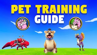 Wizard101 ULTIMATE Pet Training Guide 2024 [upl. by Eyanaj]