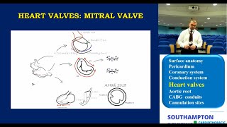 Cardiac Anatomy Mitral and Tricuspid Valves [upl. by Beale445]