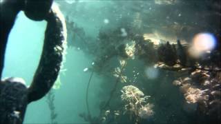 Underwater  Lake Balaton II  HD [upl. by Airdnas]