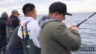 Fishing at Farallon Islands for Rock Cod [upl. by Annasiul]