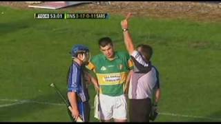 Hurling fight  Sarsfields v Newtownshandrum [upl. by Brinn]