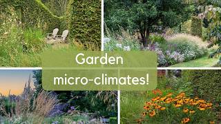 Right plant wrong place How to create your ideal garden microclimate [upl. by Revned]