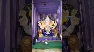 viralreels viralshort ganeshfestival ganeshfestival2024 ganeshfestival trendingshorts kurnool [upl. by Roer]