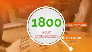 CÔTE DIVOIRE LE NONREPECT DU PRIX DU CACAO FIXÉ A 1800 EST PASSIBLE DE POURSUITES JUDICIAIRES [upl. by Dorris]