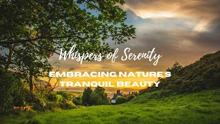 “Whispers of Serenity Embracing Nature’s Tranquil Beauty” The most beautiful places in the world [upl. by Wyne]