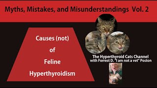 Causes Not of Feline Hyperthyroidism Myths Misunderstandings and Mistakes Volume Two [upl. by Vachil]